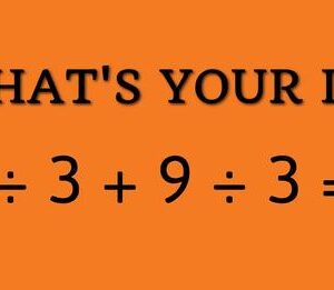 Can You Get A Perfect Score In This IQ Test?