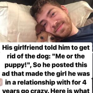 Girlfriend Gives Man Ultimatum, requesting to get rid of the dog or else she will leave him – his reaction is speechless