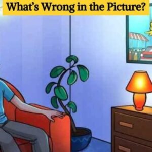 “Picture Puzzle IQ Test”: Find the Mistake in the Picture in 5 Seconds