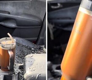 Woman Goes Viral After Stanley Cup Survived Car Fire, Company Offers to Replace Her Vehicle