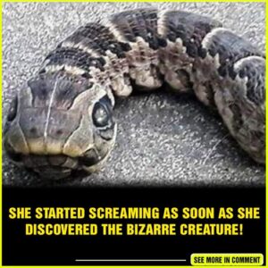 She started screaming as soon as she discovered the bizarre creature!