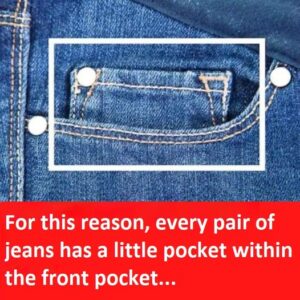 For this reason, every pair of jeans has a little pocket within the front pocket…