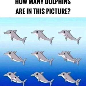 HOW MANY DOLPHINS ARE IN THIS PICTURES