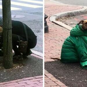 Woman gives shivering dog her jacket to keep him warm, unaware her actions were being captured