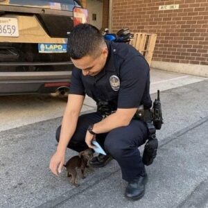 Abandoned stray dog chases police officer along the street, hangs on his feet, begging to be adopted