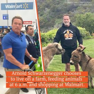 Money can’t buy true happiness, so despite a 0 million fortune, Arnold Schwarzenegger lives a low-key life on his farm.