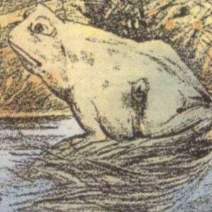 People Are Having a Hard Time Finding the Horse Hiding in This Ordinary Picture of a Frog