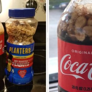 Adding peanuts to Coca-cola is apparently the hottest new Southern food trend