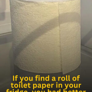 If you find a roll of toilet paper in your fridge, you had better know what it means