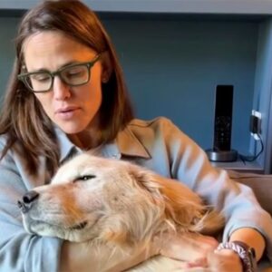 Jennifer Garner Mourns the Loss of Her Pet, Calling Her ‘Angel Girl,’ Just One Day Before Thanksgiving