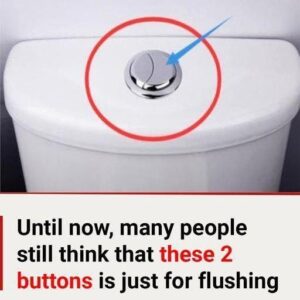 Many People Still Think That These 2 Buttons Are Just For Flushing