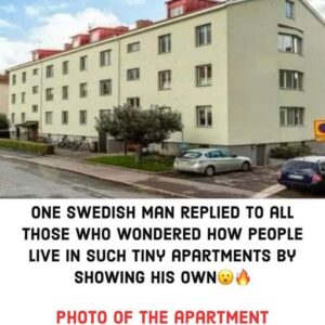 One Swedish man replied to all those who wondered how people live in such tiny apartments by showing his own