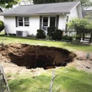 I Came Home from Vacation to Find a Huge Hole Dug in My Backyard – I Wanted to Call the Cops until I Saw What Was at the Bottom