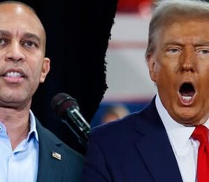 BREAKING!! Hakeem Jeffries pledges Democrats will ‘fight’ Trump agenda ‘in the streets’