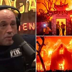 Joe Rogan’s eerie warning of LA fires resurfaces as blazes pummel Southern California