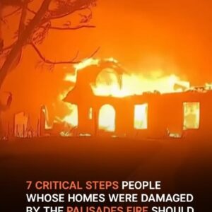 7 Steps to Take If Your Home Was Damaged by a Wildfire – Details