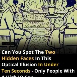 Can You Find the Two Hidden Faces Within 10 Seconds?