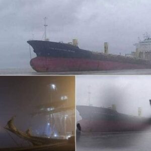 A ghost ship appears that had disappeared without…