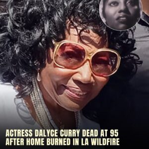 Blues Brothers actress Dalyce Curry dies in LA wildfires