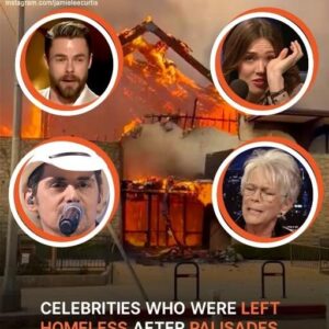 Celebrity Houses & Neighborhoods Burned to the Ground by LA Wildfires