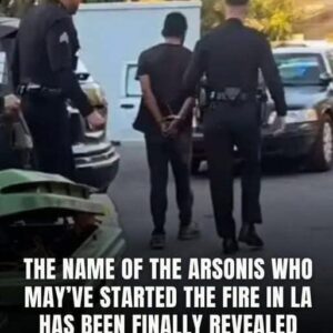 Name Of The Homeless Arsonist Revealed As Illegal Immigrant Amid L.A. Fires