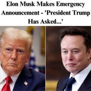 Trump Asks Musk And SpaceX to Rescue Stranded Astronauts