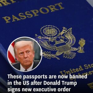 Trump’s Executive Order Eliminates Non-Binary Passport Option