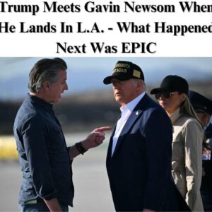 Newsom Thanks Trump For Coming to See Wildfire Damage During Tarmac Meeting