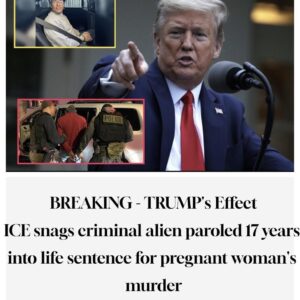 ICE snags criminal alien paroled 17 years into life sentence for pregnant woman’s murder