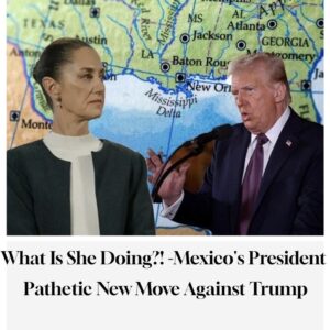 Mexican president says she sent letter to Google contesting Gulf of Mexico name change