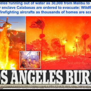 Man Arrested for Allegedly Sparking LA Fire That Has Devastated Over 960 Acres