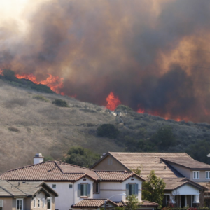 Investigating the Palisades Wildfires: Prevention Shortcomings Highlight a Preventable Tragedy