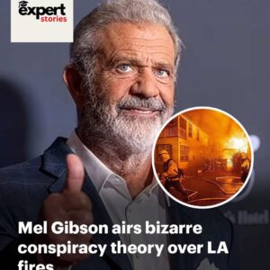 Mel Gibson airs bizarre conspiracy theory over LA fires