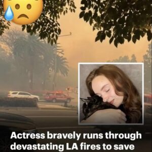 Gossip Girl actress Samantha Rose Baldwin bravely ran through the raging Los Angeles fires to rescue her cat