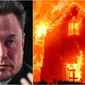 ELON MUSK ANNOUNCES SUPRISING NEWS FOR PEOPLE AFFECTED BY THE CALIFORNIA WILDFIRES