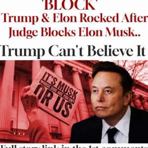 Judge Blocks Elon Musk, DOGE, Access to Treasury Department Data