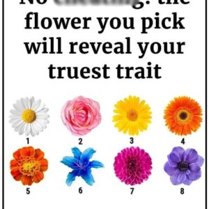 No Ch3ating. The Flower You Pick Will Reveal Your Truest Trait