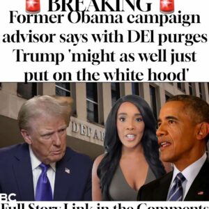 Former Obama campaign advisor says with DEI purges Trump ‘might as well just put on the white hood’