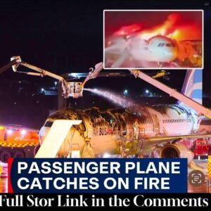 Passengers and crew flee burning plane on escape slides