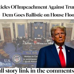 Democrat Snaps On House Floor, Launches Trump Articles of Impeachment