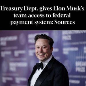 Treasury Dept. gives Elon Musk’s team access to federal payment system: Sources