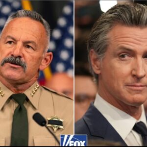 Trump supporting California sheriff launches Republican run for governor in race to succeed Newsom