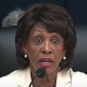 Maxine Waters Melts Down During Tirade Against Trump, Musk