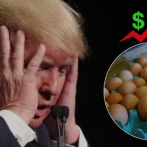 Trump’s Former Economic Official Reveals Shocking Reason Behind Rising Egg Prices: ‘Biden’s Plan Was to Kill Chickens