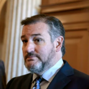 Ted Cruz Confronts Pelosi’s Role in National Guard Decision During Heated Senate Hearing