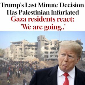 ‘We are going nowhere’: Gaza residents react to Trump’s plan