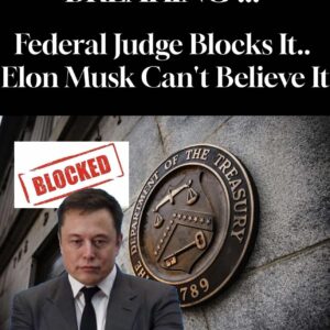 Federal judge blocks Elon Musk’s DOGE from accessing Treasury records after Democratic AGs file lawsuit