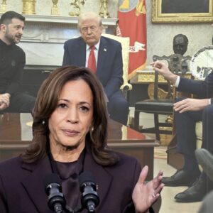 Kamala Aide Under DOJ Investigation For Allegedly Falsifying Paperwork To Get Musk Buyout