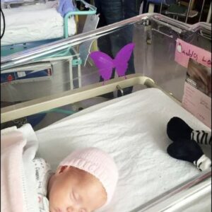 If You See A Purple Butterfly Sticker Near A Newborn, You Need To Know What It Means