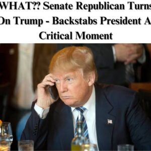 Senate Republican Turns on Trump – Backstabs President at a Critical Moment!